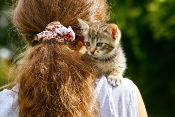 femme portant sur son épaule un chaton tigré  