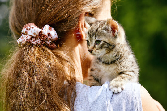 femme portant sur son épaule un chaton tigré  