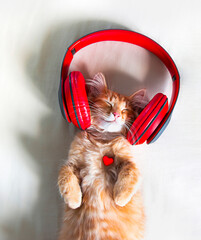 on a light white sheet, a ginger kitten with headphones listens to music and enjoys with closed eyes. he has a heart on his chest. valentine's day card