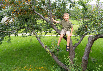 Naklejka na ściany i meble A little boy climbed a cherry plum tree and sits on a branch. The concept of a happy carefree childhood.