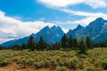 Fototapeta premium Grand Teton National Park, Wyoming