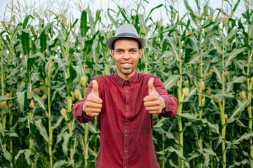 Portrait joyful afro american man is smiling with hat thumbs up feeling confident stading in corn...