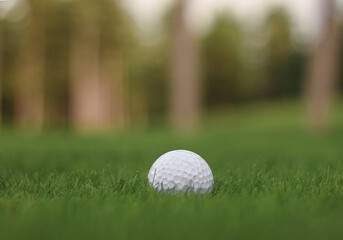 white
golf ball on the grass with mountain view and forest
