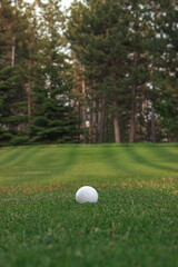 white
golf ball on the grass with mountain view and forest