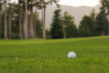 white
golf ball on the grass with mountain view and forest