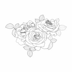 Floral background. Branch of roses on a white background.