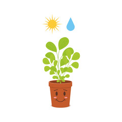 Cute potted plant character with watering and sunlight symbols. Happy houseplant isolated on white background. Vector cartoon illustration in childish style.