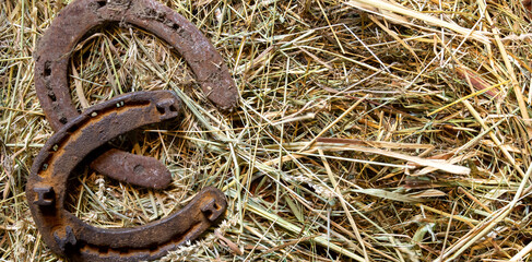 Fototapeta premium Old horseshoes on a background of hay in the stables. Banner. Good luck concept