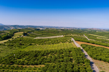 Aerial view over agricultural fields with cherry trees