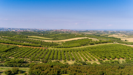 Fototapeta na wymiar Aerial view over agricultural fields with cherry trees