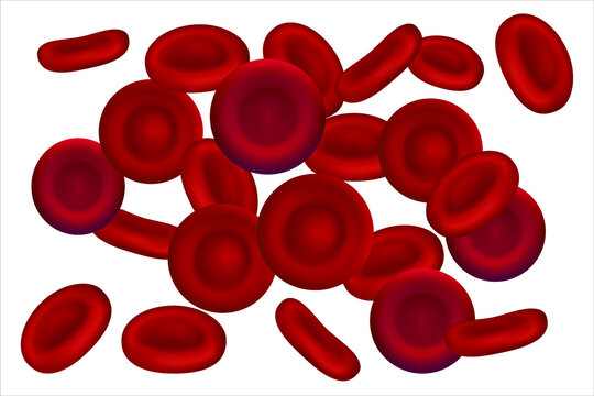 Vector illustration of red blood cells or erythrocytes