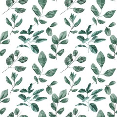 Seamless floral pattern with eucalyptus leaves. Watercolor seamless pattern garden 