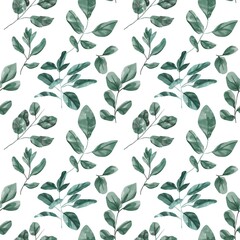 Seamless floral pattern with eucalyptus leaves. Watercolor seamless pattern garden 
