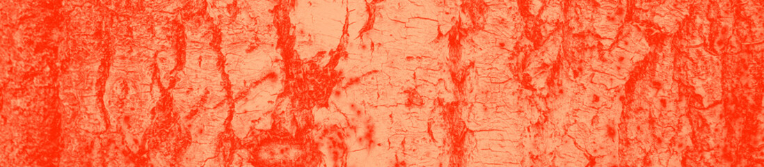 abstract live coral color background for design