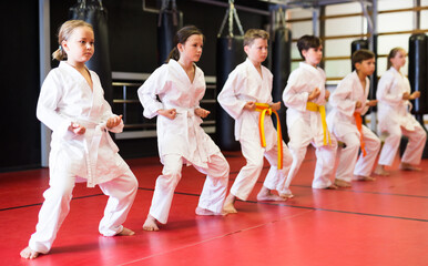 Preteen school childs together trying martial moves in karate class © JackF