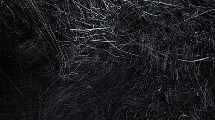 Severe blizzard isolated on the black background. Strong wind causes snow to fall in all directions constantly changing its way.