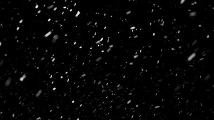 Close up view to a heavy snowfall isolated on the black background. Big snowflakes falling down from the sky in severe winter blizzard.