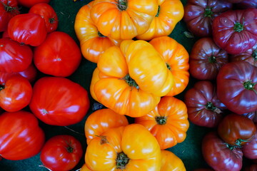 Crate of colorful organic heirloom tomatoes at the farmers market