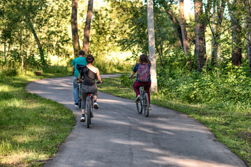 Fototapeta premium A group of friends riding their bicycles in a park in summer.