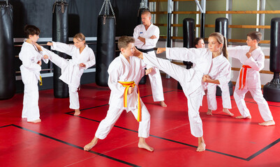Diligent positive schoolchilds practicing kicks in pairs in karate class © JackF
