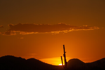 Sun sets in fire red sky behind saguaro cactus
