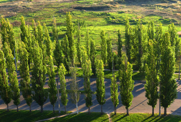 Poplar landscape from the top