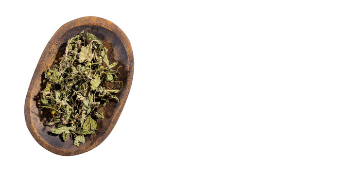 Dry dehydrated leaves of guasca - Galinsoga parviflora