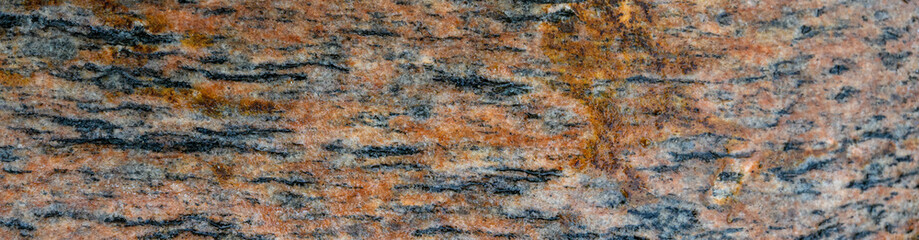 Wet orange and black striped patterned river rock as a nature background
