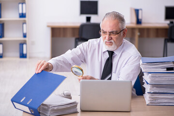 Old male auditor working in the office