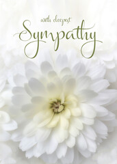 Floral sympathy greeting card. White chrysanthemum with condolence message. Vertical orientation....