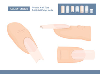 Manicure Accessories for Nail Extension. Acrylic Fingernail Tips. Artificial False Nails for Painting. Vector Illustration