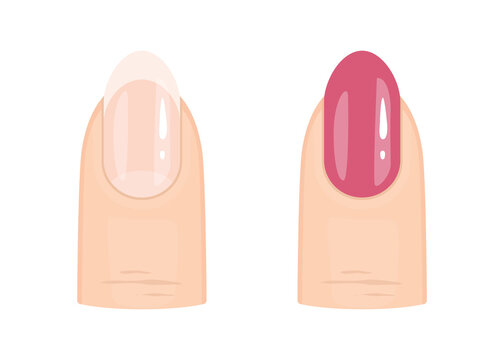 Close up of woman&rsquo;s finger with pink polish and finger with French Professional Manicure. Beauty treatment. Vector illustration