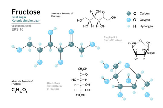 Fructose. Fruit Sugar. Ketonic Simple Sugar. Monosaccharide. Cyclic and Open Chain Form of Fructose. C6H12O6. Structural Chemical Formula and Molecule 3d Model. Vector Illustration