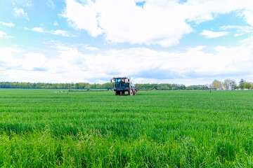 Fototapeta premium The tractor uses a large sprayer to treat green wheat from pests.