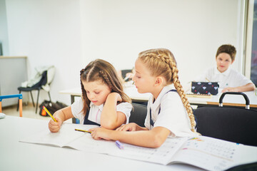 Two school girls cooperating and helping each other to finish her task in class - obrazy, fototapety, plakaty