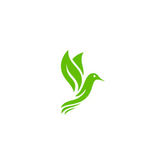 vector logo design hand-winged bird leaves logotype dove