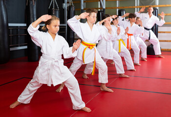 Schoolchilds are practicing new technique by repeating for the trainer in karate class - obrazy, fototapety, plakaty