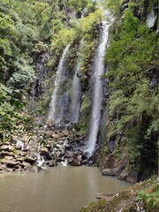 Obraz premium waterfall in the forest, Nature, water, wild