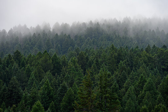 Broken pieces of dacite rock weathered by time and exposure to the elements, as a nature background
