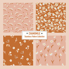 Set of Floral Vector Seamless Pattern With chamomile flowers. Good for print, wallpaper and fashion. 