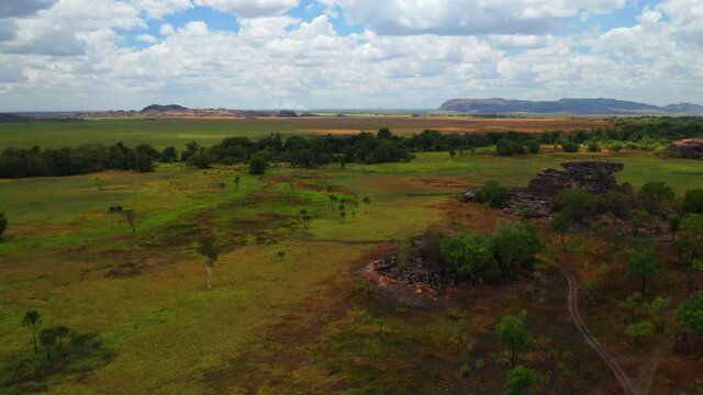 Panorama Of Green And Lush Trees Among Wetlands At Ubirr In Kakadu National Park, Northern Territory, Australia. - Aerial Wide