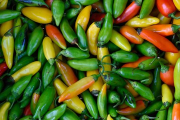 Chili peppers for sale at a farmer's market