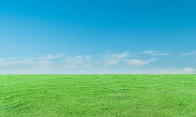Green grass field and blue sky with clouds background.