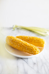 corn on the cob on a plate, white background