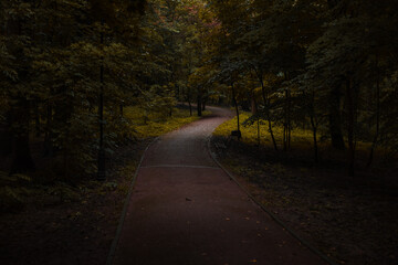 moody autumn nature park outdoor curved road for walking in cold melancholy atmosphere soft focus September photo