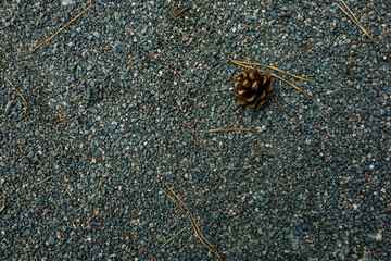 Background, small stones of gray color on a ground. High quality photo