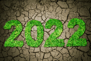 Green grass shaping number 2022 on dried soil