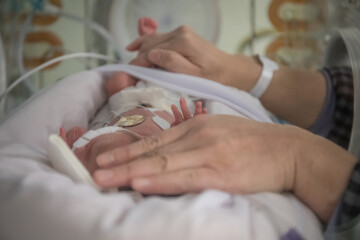 Obraz na płótnie Canvas Premature newborn baby in incubator with mother's hands
