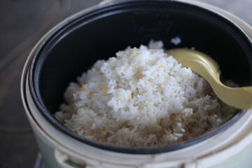 The steam from Hand hold wooden ladle in electric rice cooker in the kitchen.hot food concept