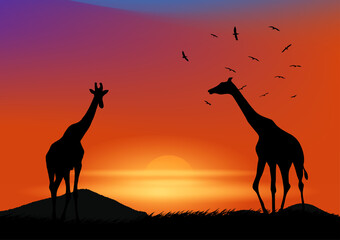 Fototapeta na wymiar graphics landscape view giraffe at the forest with mountain background and twilight silhouette vector illustration